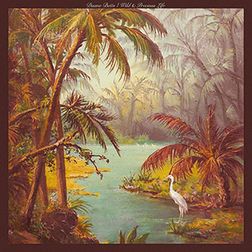 Duane Betts - Wild & Precious Life